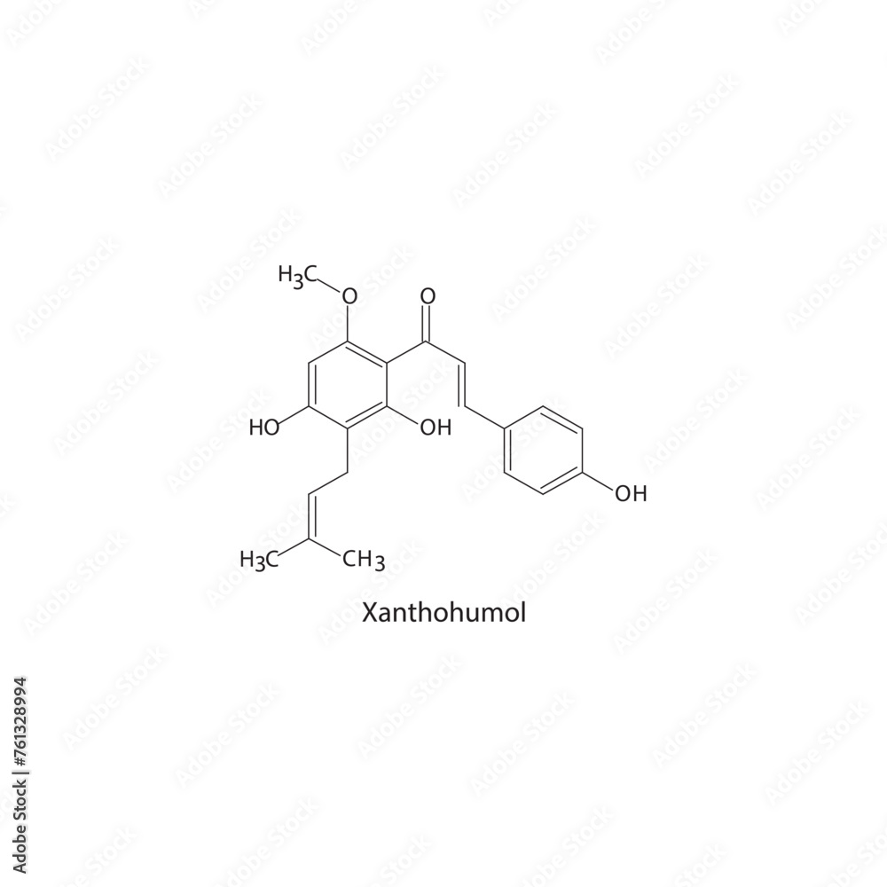 Fototapeta premium Xanthohumol skeletal structure diagram.prenylated flavonoid compound molecule scientific illustration on white background. 