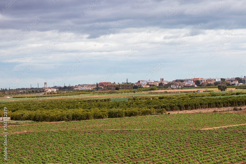 The agricultural fields in Godella, Valencia, Spain