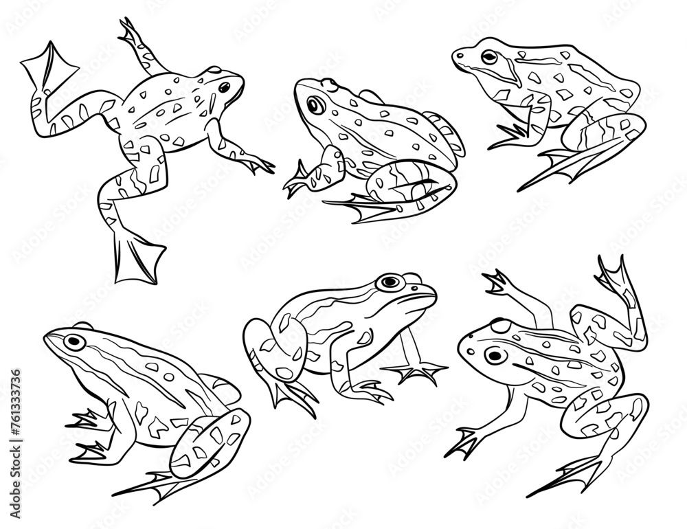 Frog outline poses illustration vector collection Frog outline poses illustration vector collection