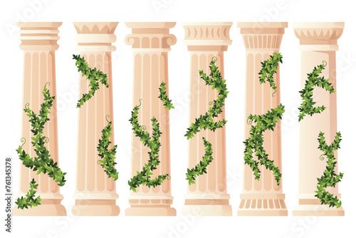 Ancient ivy covered column set. Museum and exhibition. Cartoon greek or roman pillars with climbing ivy branches. Antique foliage decorated element. Cartoon flat vector isolated on white.