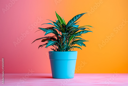 Plant minimalist