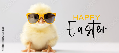 Funny easter concept holiday animal greeting card with text - Cool cute little easter chick baby with sunglasses on table