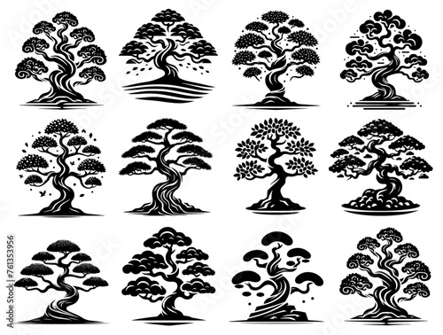 bonsai trees, miniature art of nature, black vector