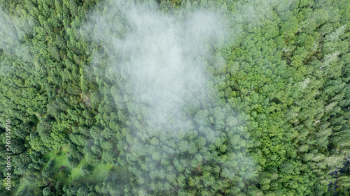 Wallpaper Mural Aerial view of beautiful high altitude forest mountain landscape Torontodigital.ca