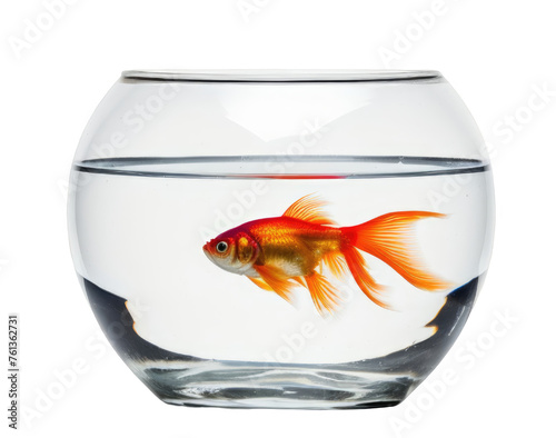 A goldfish is swimming in a clear glass bowl. The bowl is almost empty  with only a small amount of water left. The fish appears to be the only living creature in the bowl