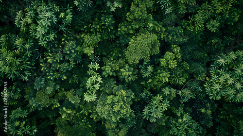Aerial view of a dense green forest canopy, ideal for nature themes.