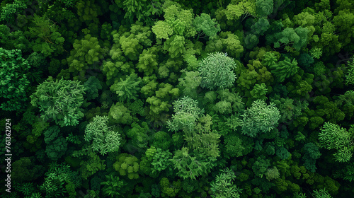 Aerial view of lush green forest canopy, ideal for environmental themes. © Vladimir