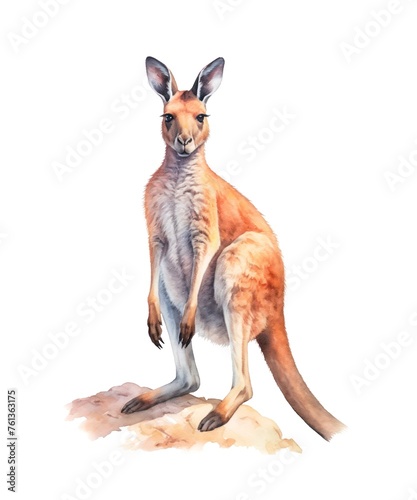 Watercolor illustration of a kangaroo isolated on white background.