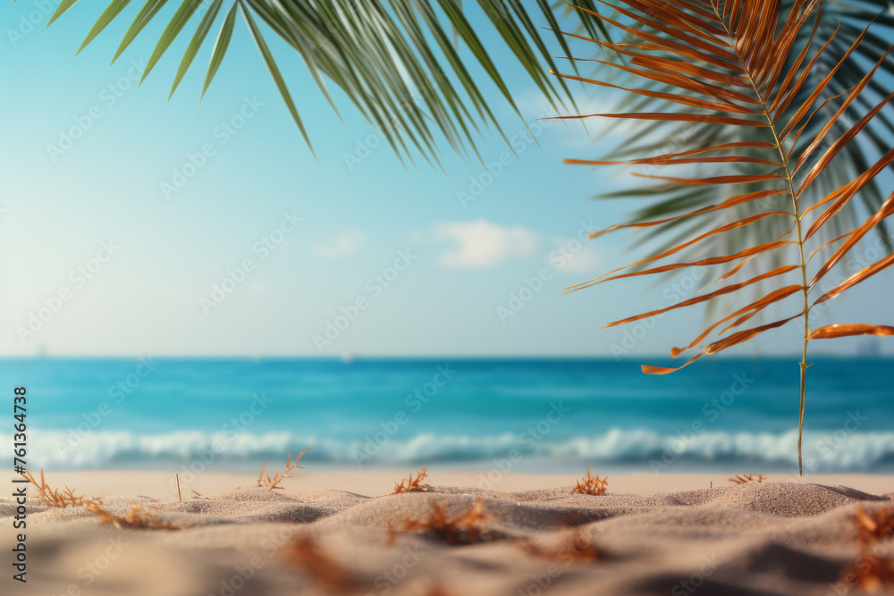 Palm tree is in foreground of beach scene