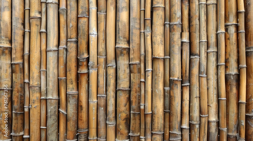 bamboo background close up   reated with Generative Ai