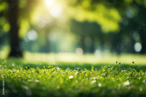 Lush green field with trees in background