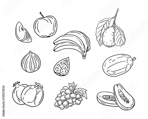 Outline hand drawn sketchy drawings of fruits. Vector contour drawings of popular fruits on white background. Ideal for coloring pages, tattoo, stickers