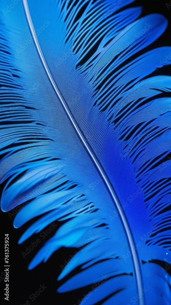 Fototapeta premium blue feather background