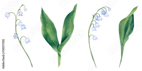 Watercolor set of spring flowers, lilies of the valley on a white background. Hand-painted illustration. Primroses, forest plants, branches, leaves and buds. Template for printing and design.