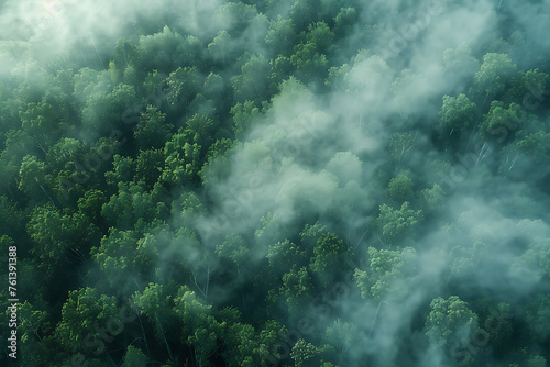 A captivating aerial view of a forest shrouded in fog, evoking a sense of mystery and tranquility in nature's embrace © River Girl