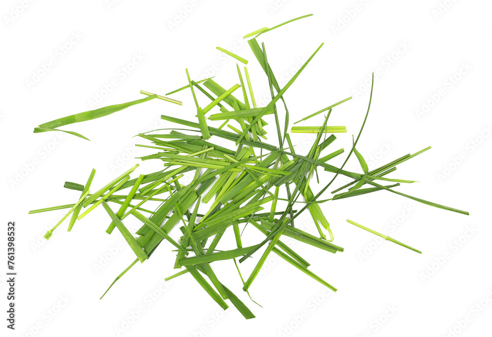 Fresh green cut wild grass isolated on white background and texture, top view
 - obrazy, fototapety, plakaty 