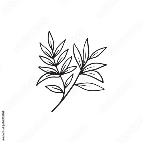 Realistic beautiful tropical branch with leaves black isolated on white background. HAnd drawn vector sketch illustration in vintage doodle engraved line art style. Botanical, floral single drawing © Nataliya Pokrovska