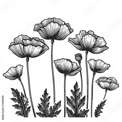 poppies flowers with delicate stems and detailed petals sketch line art engraving generative ai raster illustration. Scratch board imitation. Black and white image. © Oleksandr Pokusai