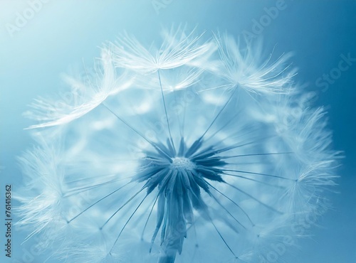 Dandelion on blue background, closeup photography
