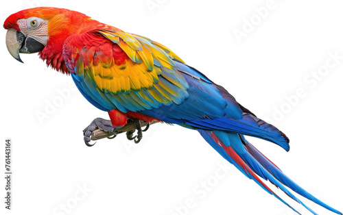 Vibrant Avian Beauty: Parrot Generative AI