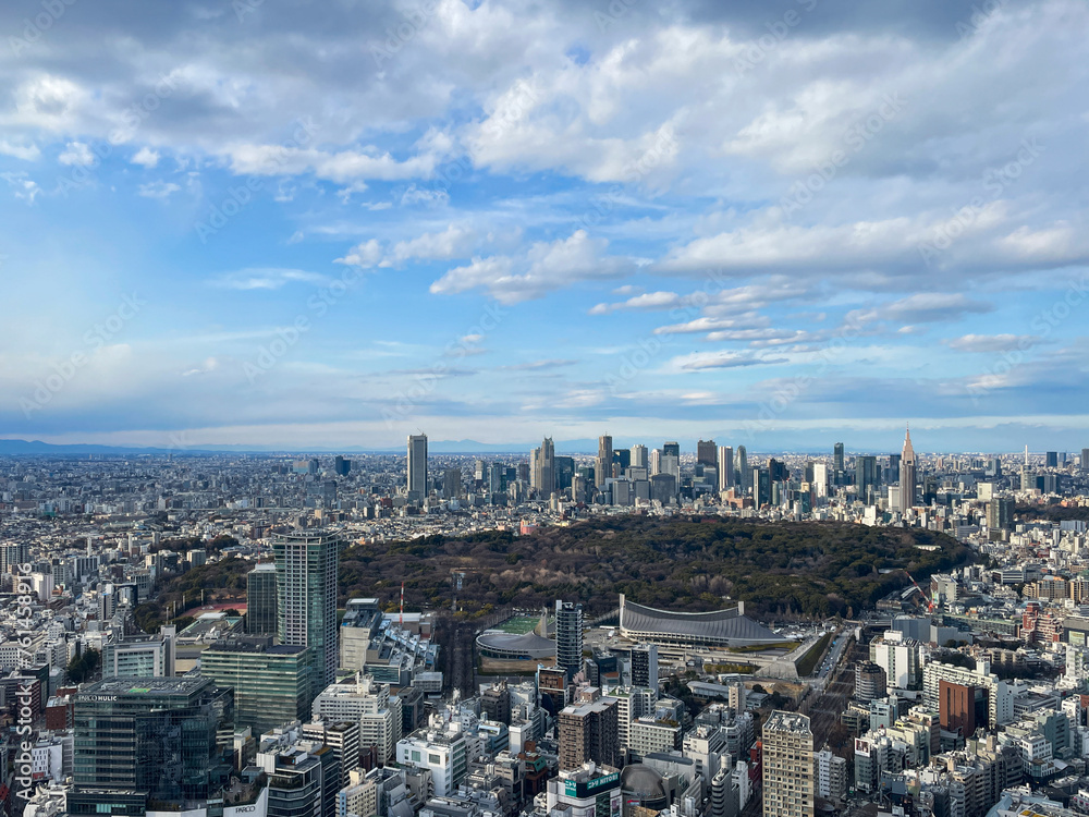 Tokyo City skyline, with view of Shinjuku