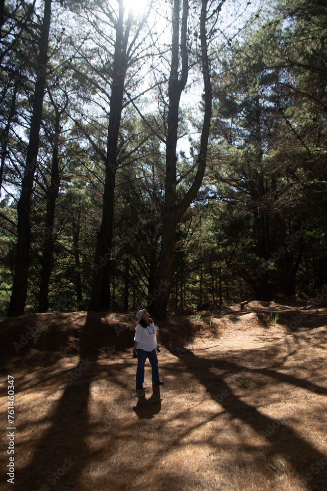 a woman observing the tops of the trees in a forest in southern Chile a woman observing the tops of the trees in a forest in southern Chile