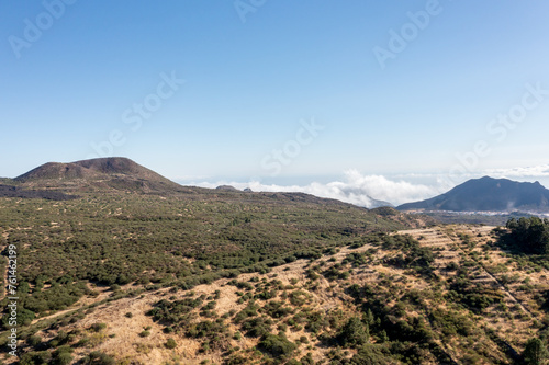 Aerial View of Pine Forest with Clouds Below, Tenerife