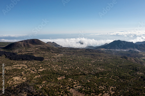 Aerial View of Pine Forest with Clouds Below, Tenerife