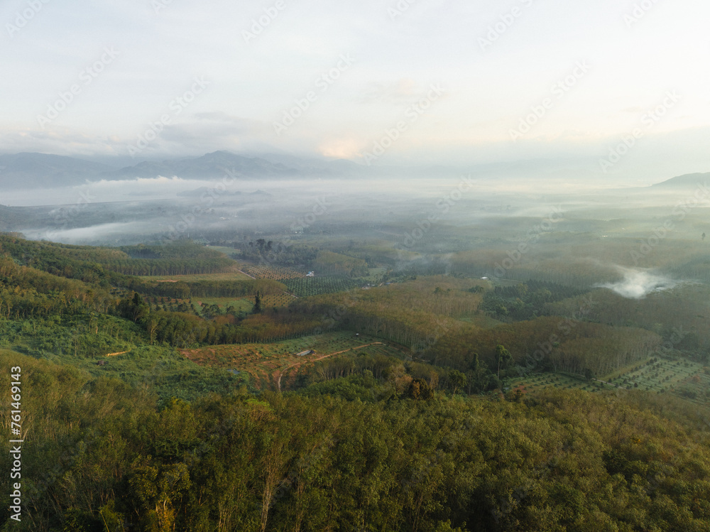 Aerial mountain peak sunrise tropical rainforest sky with cloud