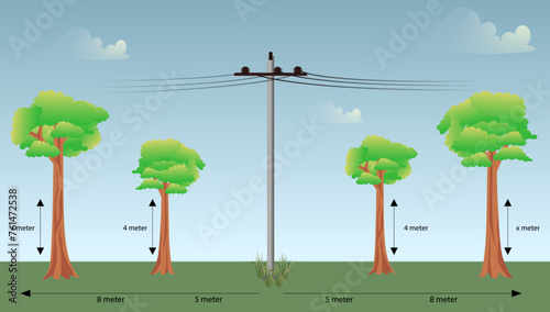 power lines and planting tree guide scheme vector illustration, an example of planting within 8m of power line vector illustration, tree trimming