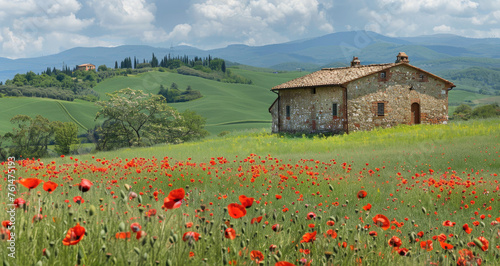 landscape with poppies and old stone house in summer, Italy, Europe. beautiful green meadow in spring or autumn time