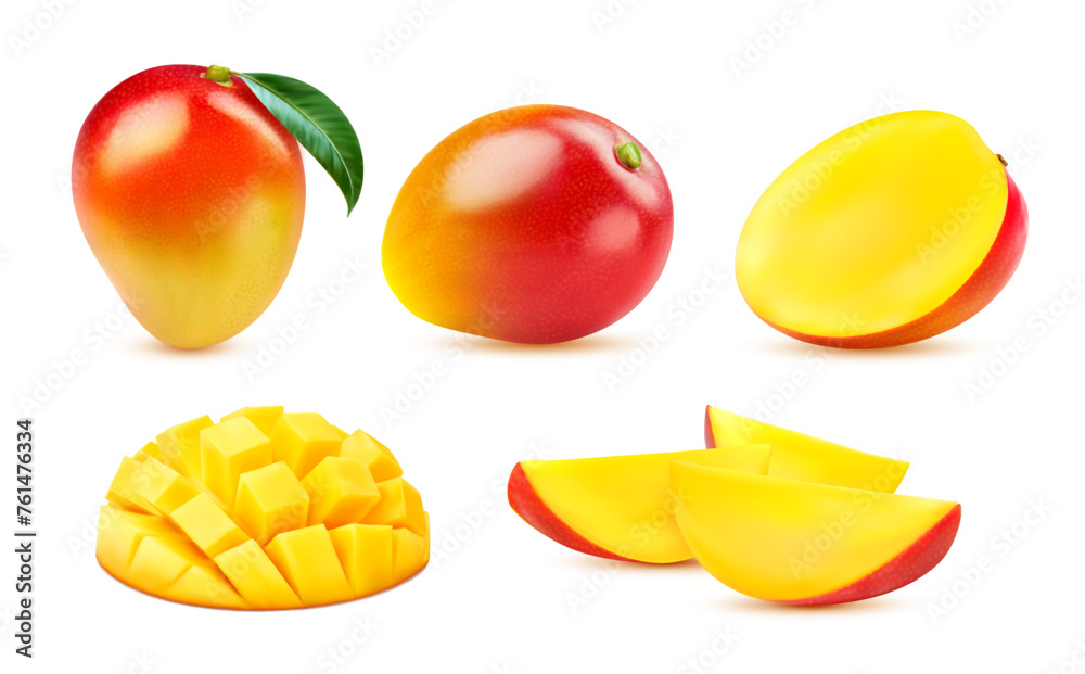 Raw tropical realistic mango fruit. Whole and half, slice and diced mango with green leaf, vector fruity food. Isolated 3d ripe juicy pieces of exotic tree fruit with orange flesh, red and yellow peel