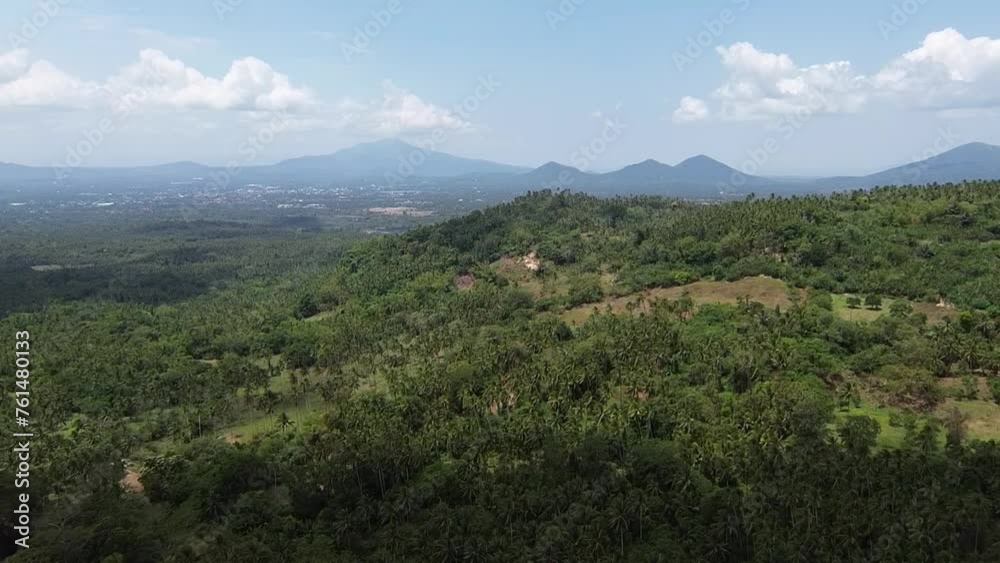 Vast coconut farm land situated on a hill at the foot of a mountain. Drone aerial shot Vast coconut farm land situated on a hill at the foot of a mountain. Drone aerial shot