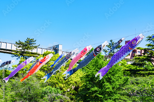 鯉のぼり と 青空 と 新緑 【 5月 の イメージ 】