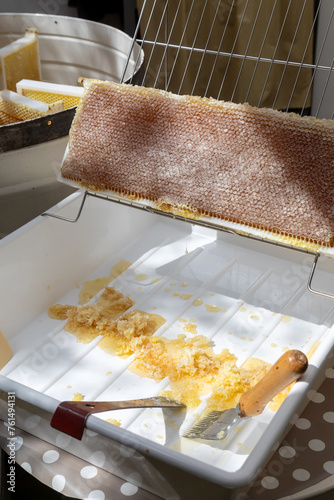 Apiculture - A la miellerie - Cadre de récolte rempli de miel posé dans sur un bac à désoperculer