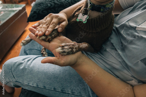 Woman sitting on the sofa stroking the spotted paws of her Peruvian hairless viringo dog photo