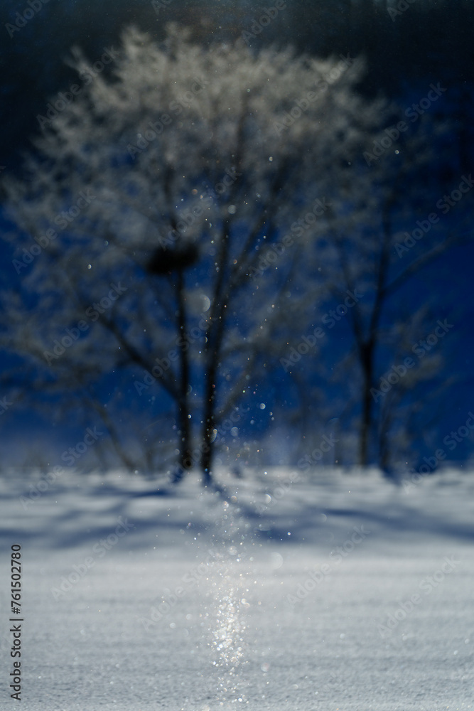 Obraz premium ダイヤモンドダスト・サンピラーの煌き 冬の北海道の絶景