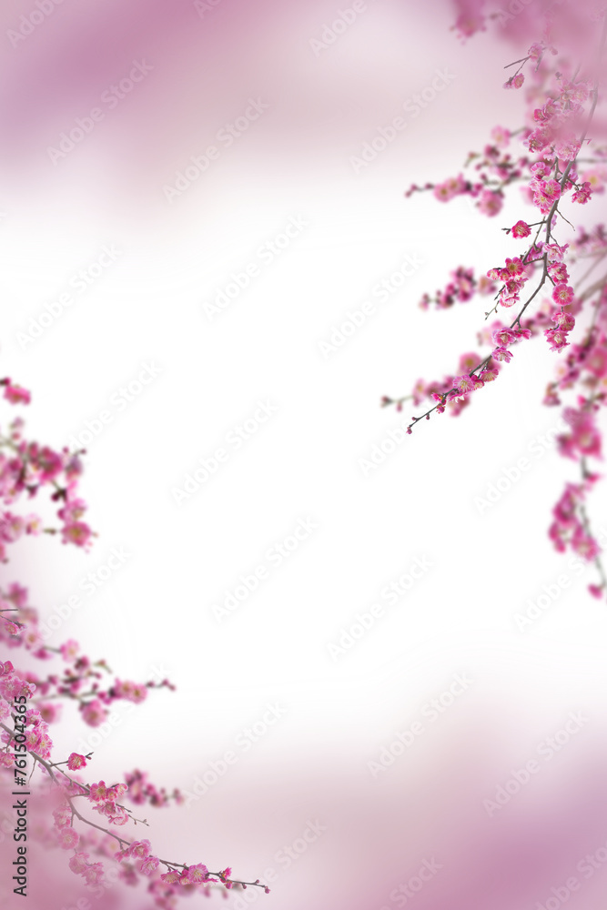 Floral Branch isolated on transparent background. Orchid, apple, wisteria, sakura, magnolia, cherry mimosa. Flower png of isolated cutout. Frame postcard invitation Floral Branch isolated on transparent background. Orchid, apple, wisteria, sakura, magnolia, cherry mimosa. Flower png of isolated cutout. Frame postcard invitation