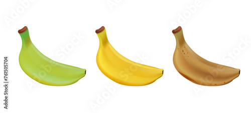 Banana life cycle 3D. Diet and healthy eating concept. Organic banana fruit peel color from green to brown, organic rotten and fresh ripe fruit. Vegetarian healthy food vector set of banana ripen