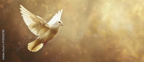 Spirit of god background banner panorama greeting card  religious symbol - White dove of peace with wings wide open in gold shiny glitter sky air with sunbeams