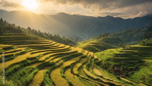 Sun dips low, casting golden glow over lush rice fields, terraces testament human ingenuity amidst nature's beauty. Sun rays dance upon rice fields, illuminating terraces like steps to celestial stage