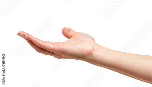 open hand of young woman isolated on transparent background