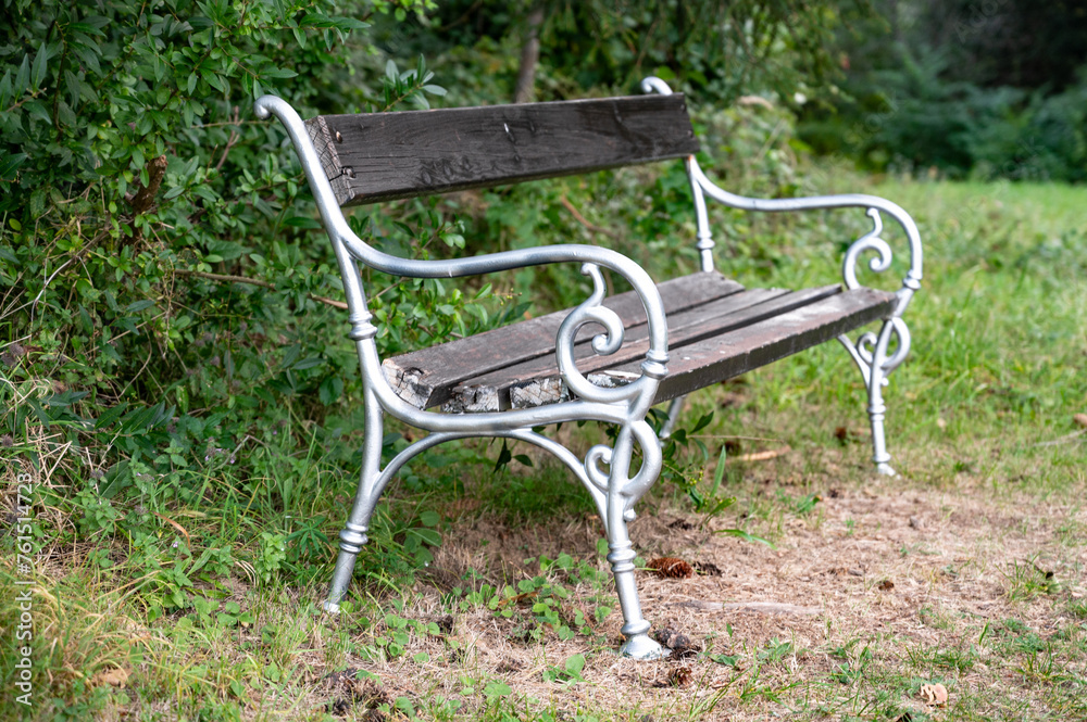 bench in the forest without people. bench in the forest without people.