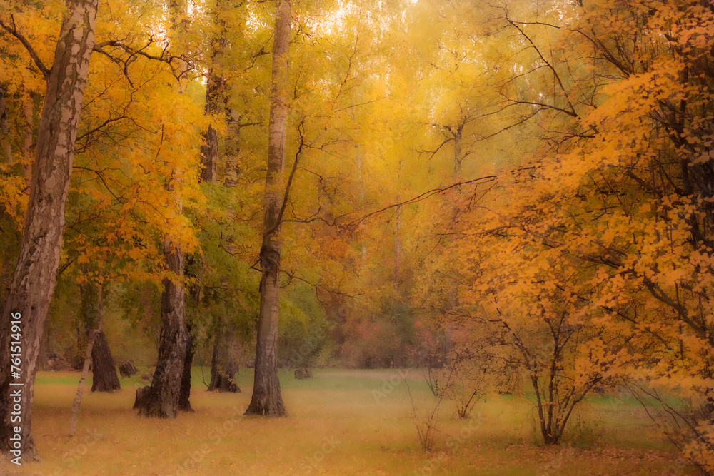 Fototapeta premium Autumn park image as picture in blur
