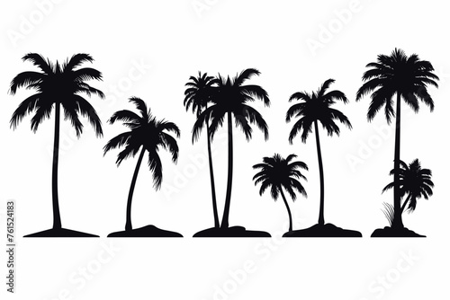 A set of detailed palm and coconut tree silhouette illustrations photo