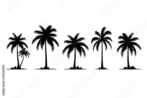 Fototapeta Naklejka Na Ścianę i Meble -  A set of detailed palm and coconut tree silhouette illustrations