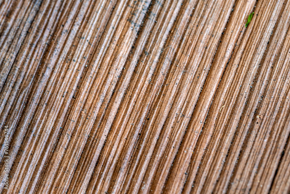 Dust and the textured surface of areca leaf sheaths Dust and the textured surface of areca leaf sheaths
