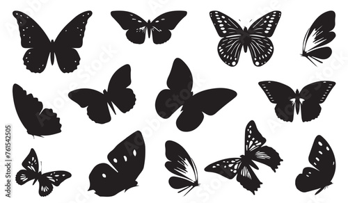 Butterflies icon symbol set, vector illustrations on white background