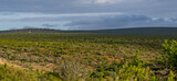 Natur Landschaft im Addo Elephant Park in Südafrika 