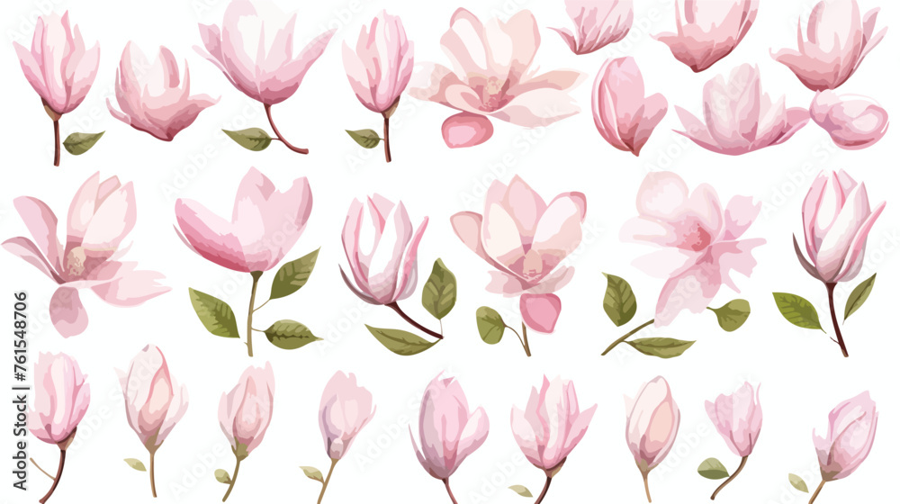Flower alphabet magnolia watercolor